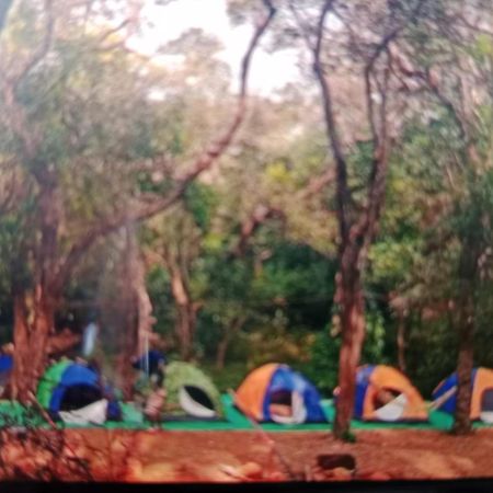 Hilltone Veg Non Veg Matheran Hotel Bagian luar foto